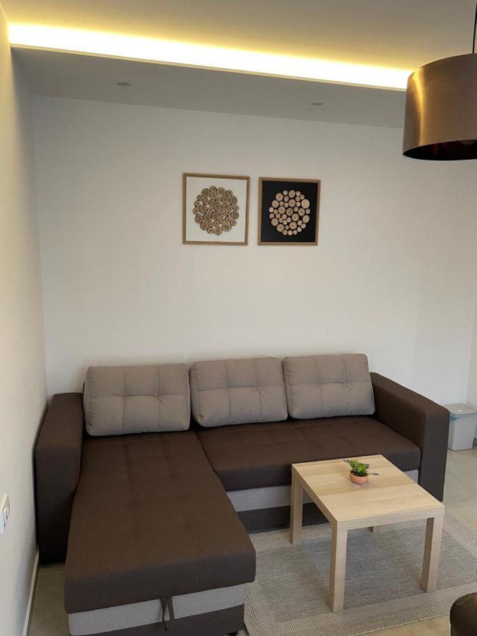 Guesthouse Villa Stević Veliko Gradište Extérieur photo