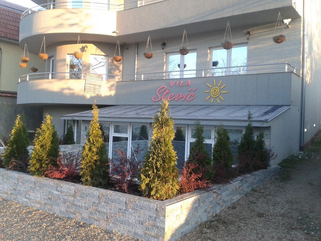 Guesthouse Villa Stević Veliko Gradište Extérieur photo
