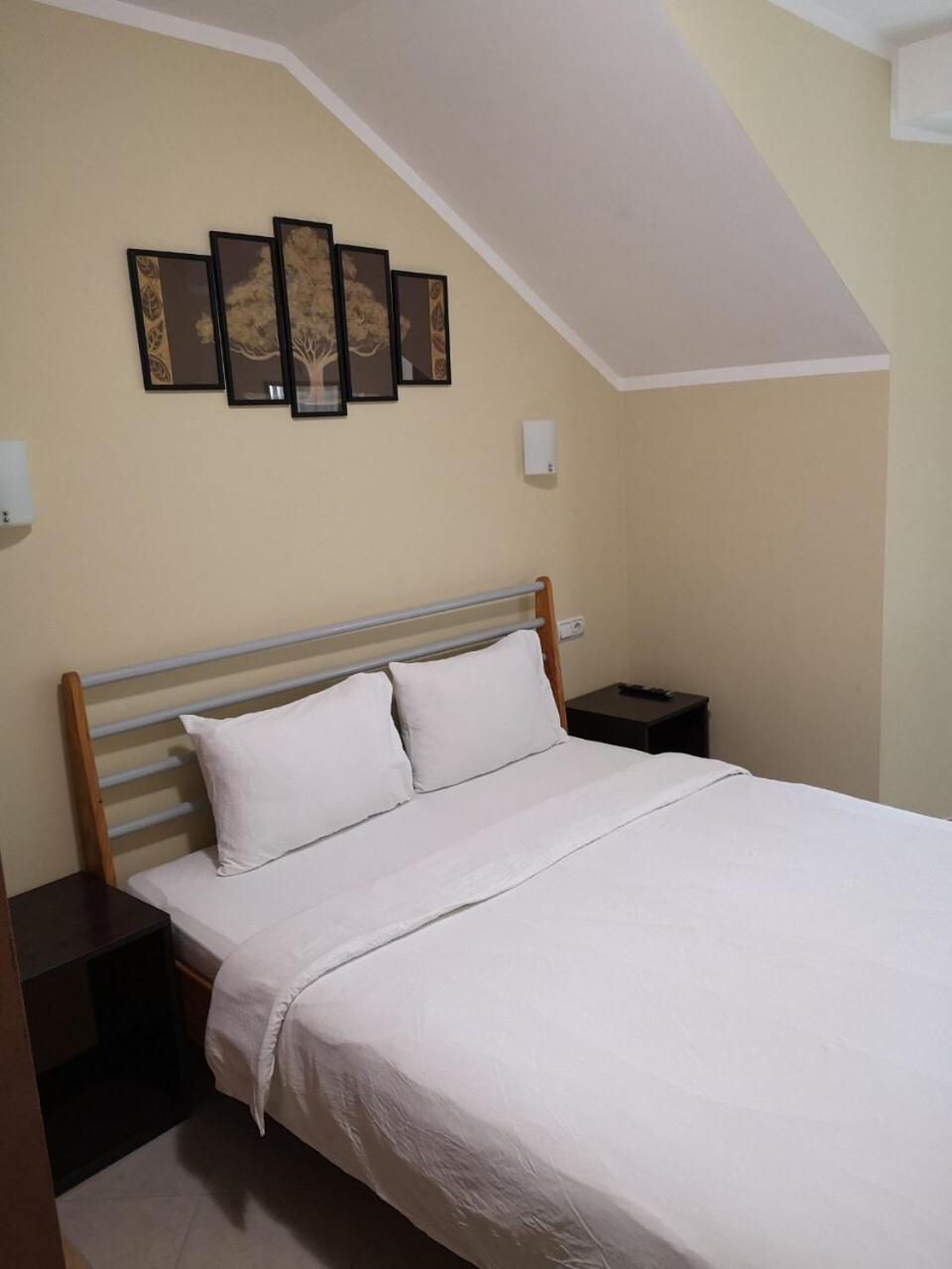 Guesthouse Villa Stević Veliko Gradište Extérieur photo